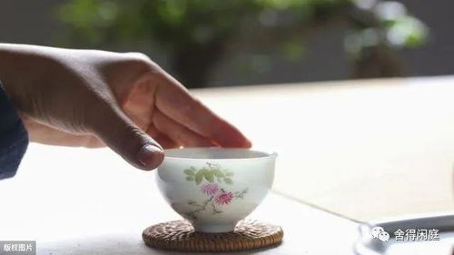 星云大师品茶论道 中国茶文化的三层境界与博大精深